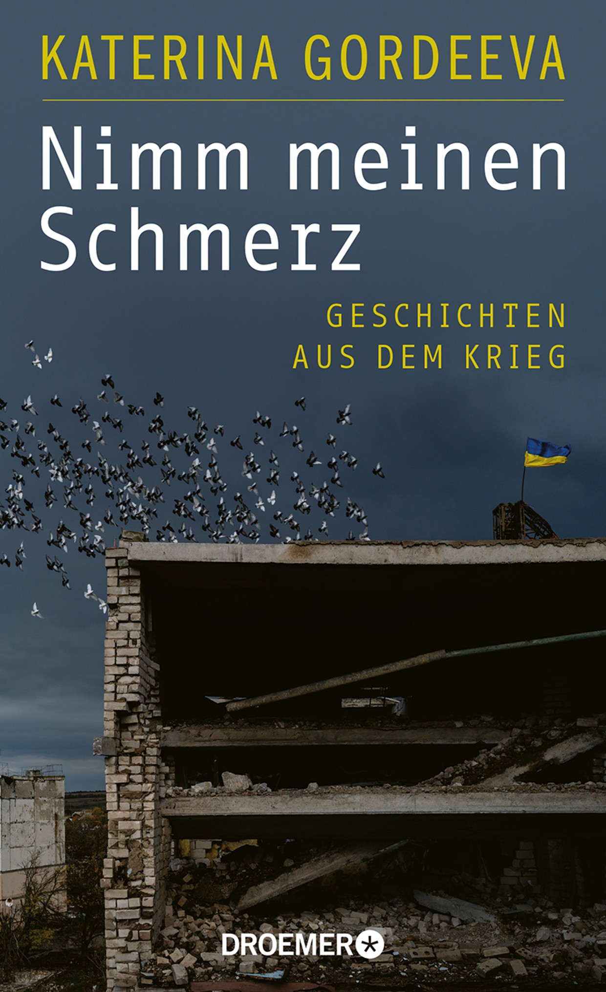 Cover des Buchtitels "Nimm meinen Schmerz"