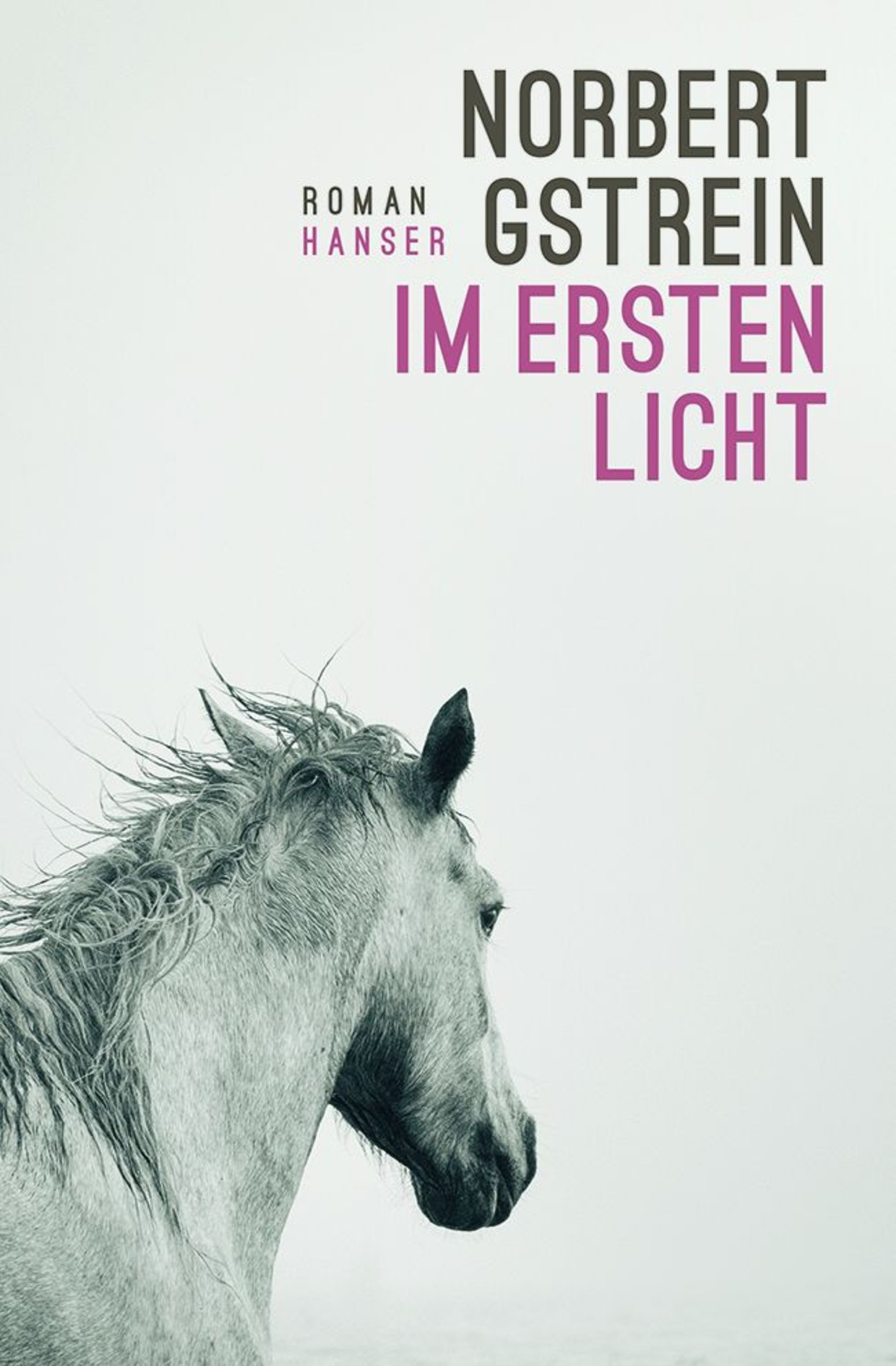 Im ersten Licht Cover