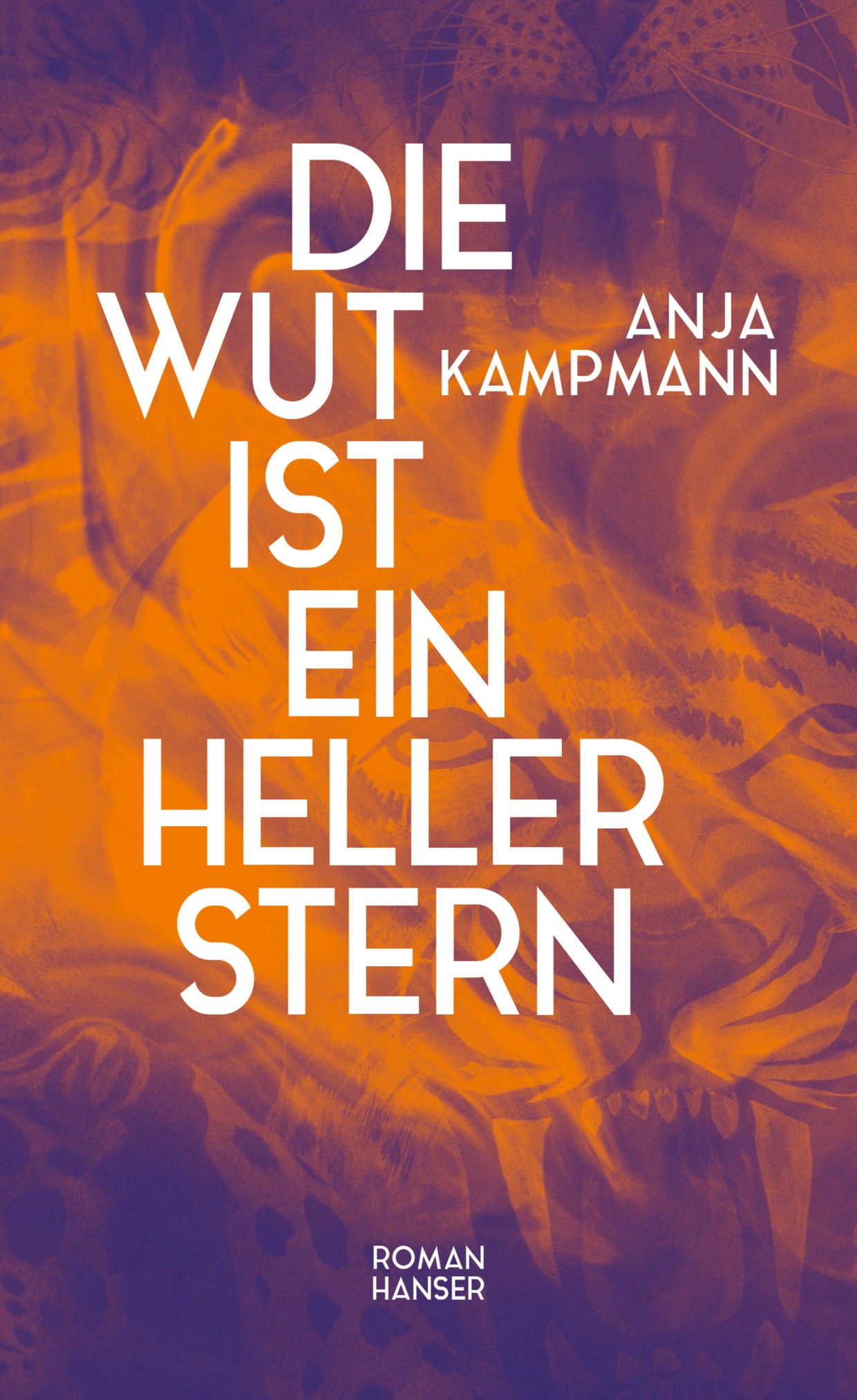 Die Wut ist ein Heller Stern Cover