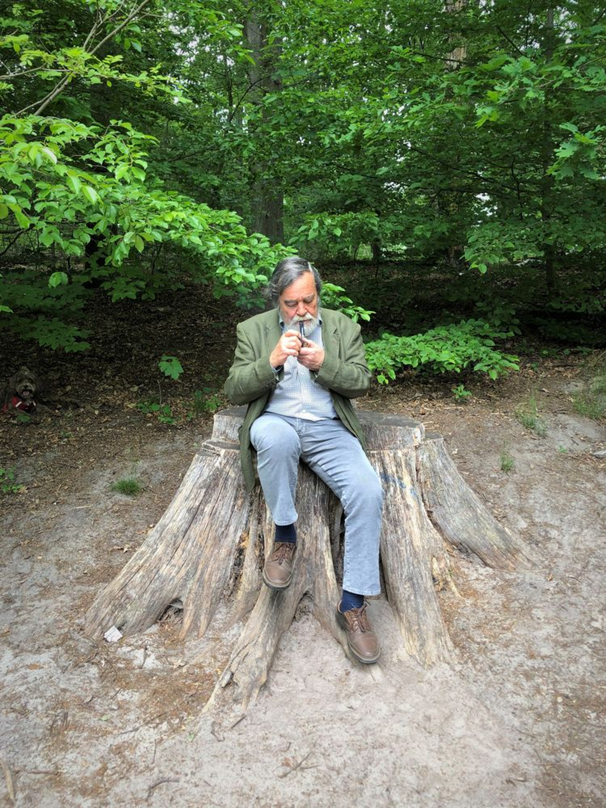 Foto von Pfister, Manfred